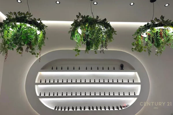 JEPET ME QIRA AMBIENT PER THONJE NE ASTIR!