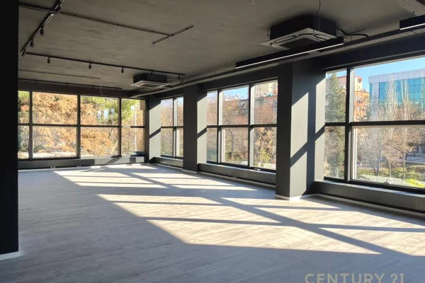 Ambient biznesi ne shitje 1+1 ne Tirane - 999,000 Euro