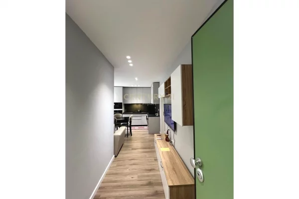 Apartment for rent in Tirana 2+1, Furnished