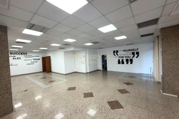 Japim zyra me qira afer Sheshit Wilson!!!