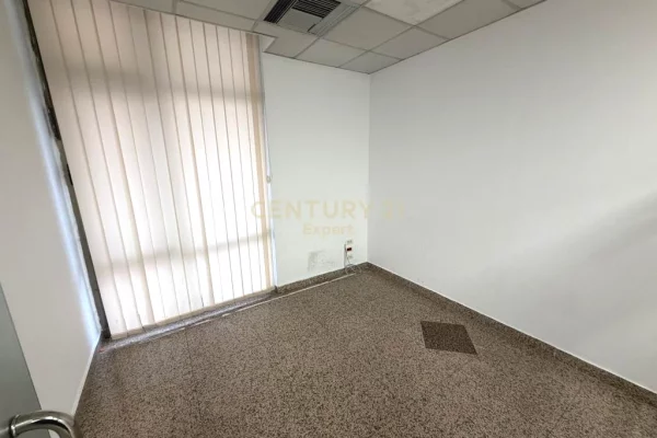 Japim zyra me qira afer Sheshit Wilson!!!