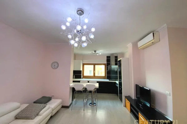 Shtepi me qera Apartament ne Tirane, 1+1, Mobilimi E mobiluar, Pagesa 550  Euro.