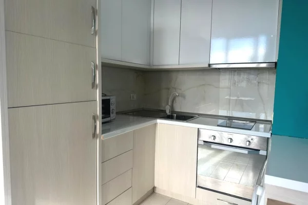 Shtepi ne shitje Apartament ne Tirane, 1+1, Mobilimi E mobiluar, Pagesa 140,000  Euro.