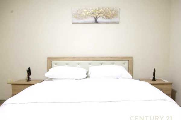 Apartment for rent in Tirana 2+1, Furnished