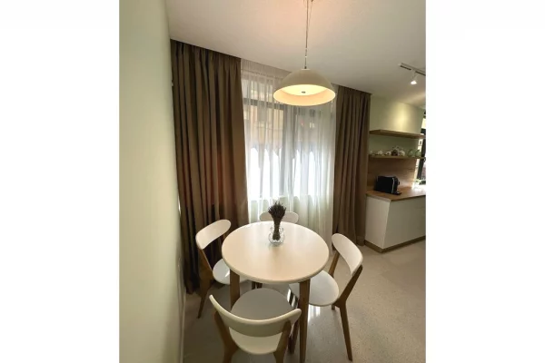 Shtepi me qera Apartament ne Tirane, 1+1, Mobilimi E mobiluar, Pagesa 750  Euro.