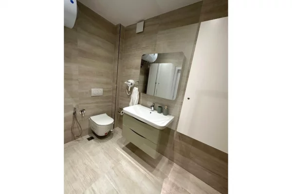 Shtepi me qera Apartament ne Tirane, 1+1, Mobilimi E mobiluar, Pagesa 750  Euro.