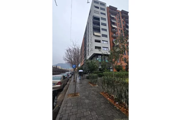 Ambient biznesi me qera 3+1 ne Tirane - 750 Euro