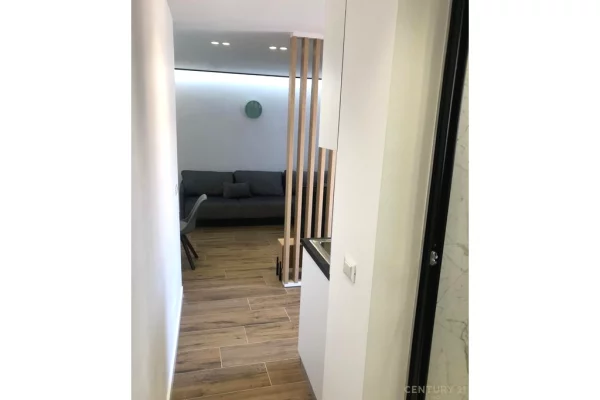 Shtepi ne shitje Apartament ne Tirane, 1+1, Mobilimi E mobiluar, Pagesa 240,000  Euro.