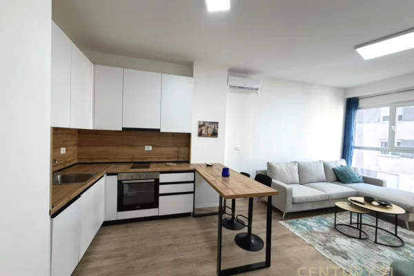 Apartment for rent in Tirana 1+1, Furnished
