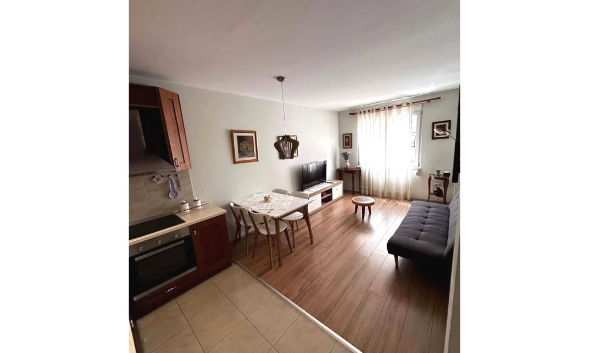Apartment for rent in Tirana 1+1, Furnished