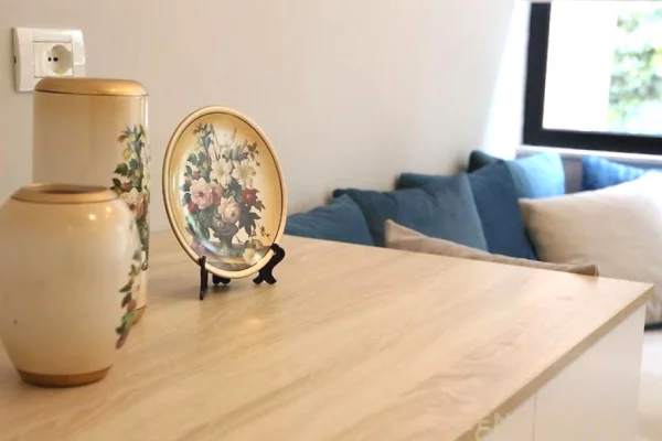 Shtepi me qera Apartament ne Tirane, 2+1, Mobilimi E mobiluar, Pagesa 1,000  Euro.