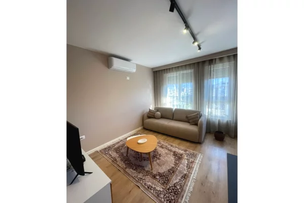 Appartamento in affitto a Tirana 1+1, Arredato