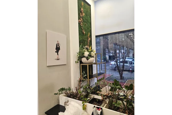 Jepet me qira ambient komercial prane Art Tribuna!