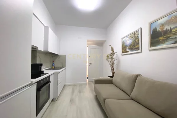 Apartment for rent in Tirana 1+1, Furnished