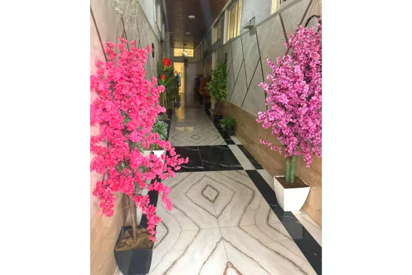 Shtepi me qera 1+1 ne Tirane - 400 Euro