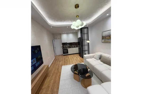 Shtepi ne shitje Apartament ne Tirane, 1+1, Mobilimi E mobiluar, Pagesa 109,000  Euro.