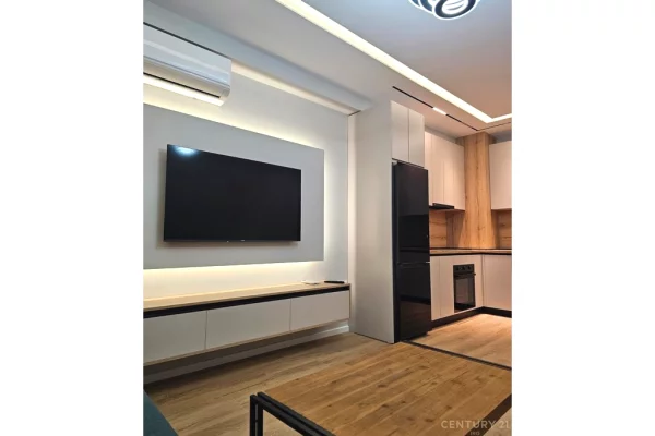 Casa in affitto 1+1 a Tirana - 55,000 Leke