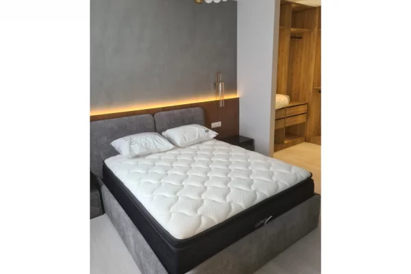 Appartamento in affitto a Tirana 1+1, Arredato