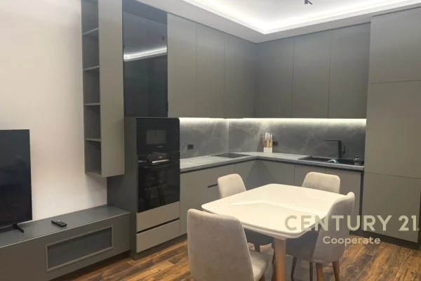 Casa in affitto 1+1 a Tirana - 1,300 Euro