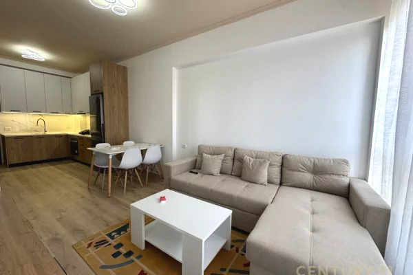 Apartment for rent in Tirana 1+1, Furnished