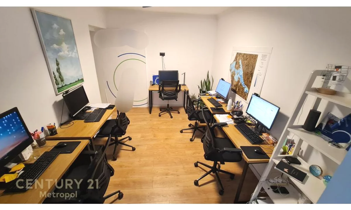 OFROHET PER SHITJE AMBIENT PER ZYRE OSE BANIM-SHESHI WILLSON!