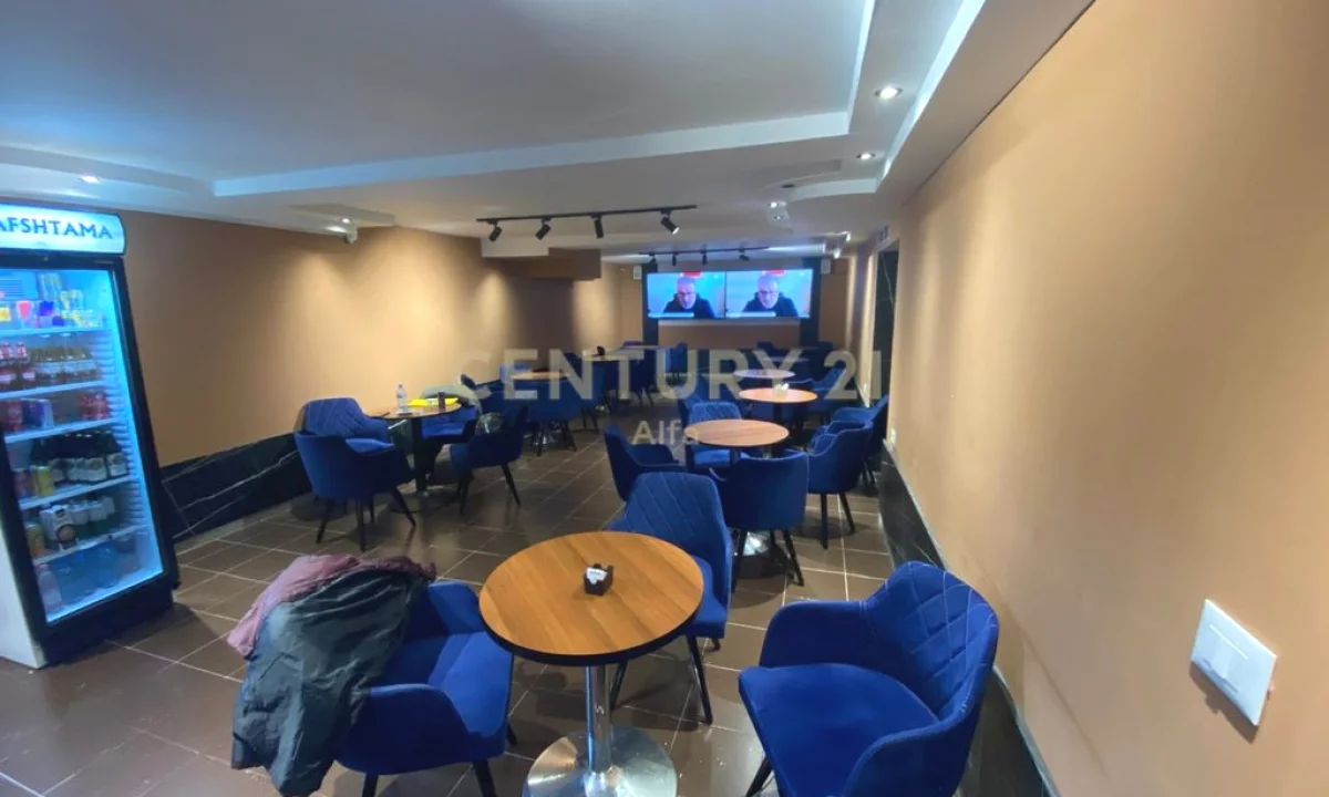 Shitet Biznes Sheshi Wilson