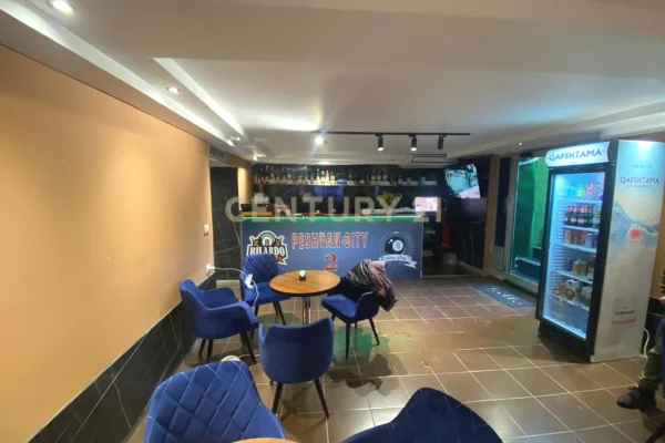 Shitet Biznes Sheshi Wilson