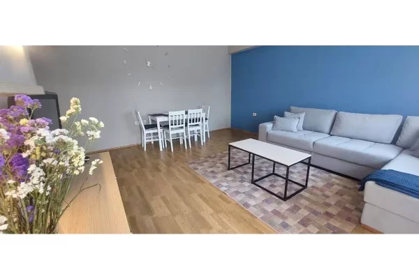 Apartment for rent in Tirana 1+1, Furnished
