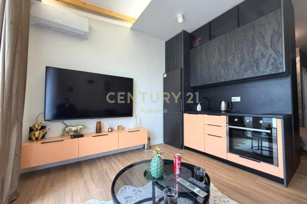 Shtepi me qera Apartament ne Tirane, Garsoniere, Mobilimi E mobiluar, Pagesa 450  Euro.