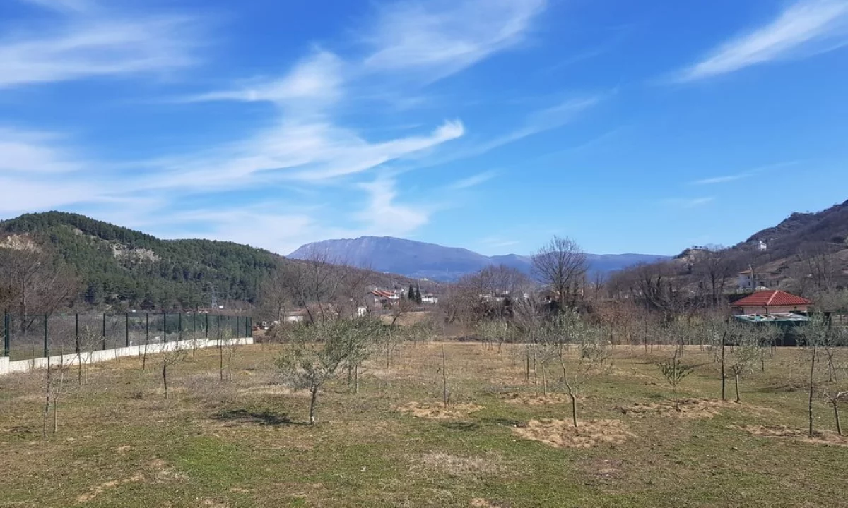 Toke per Shitje prane Fshatit Tagan, zona Petrele