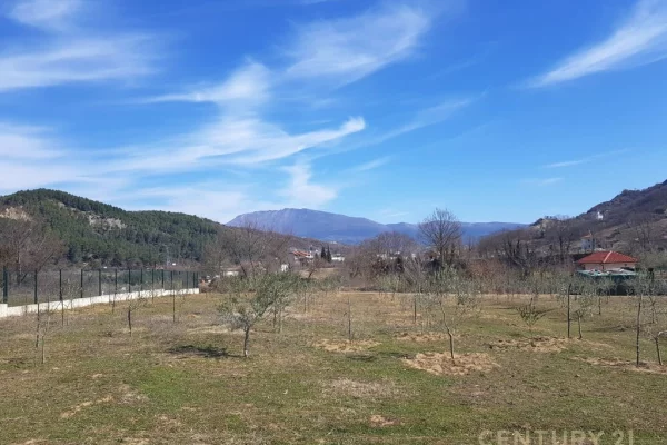 Tokë për Shitje pranë Fshatit Tagan, zona Petrelë