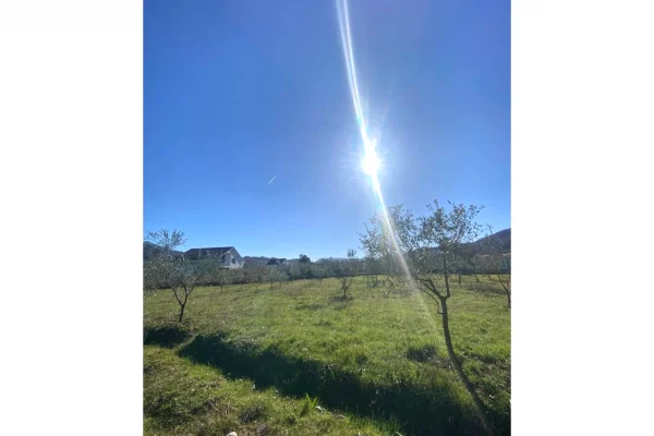 Toke per Shitje prane Fshatit Tagan, zona Petrele