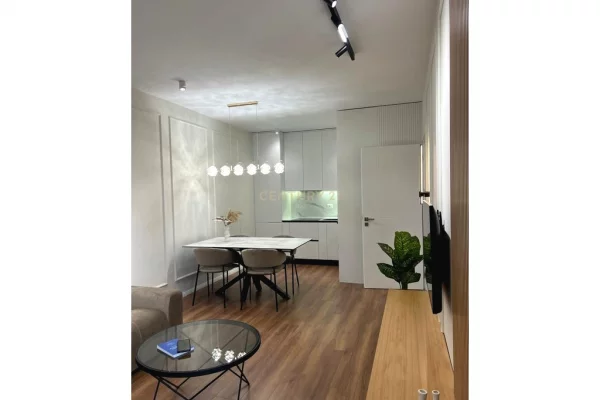 Apartment for rent in Tirana 1+1, Furnished