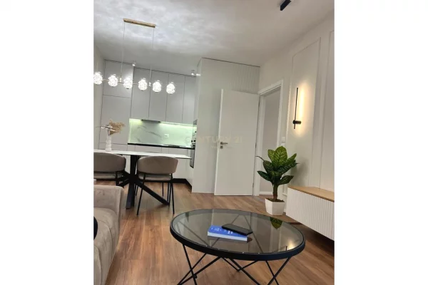 Apartment for rent in Tirana 1+1, Furnished