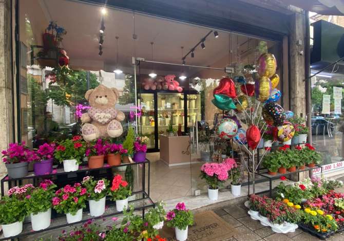 Shitet Biznesi Brryl