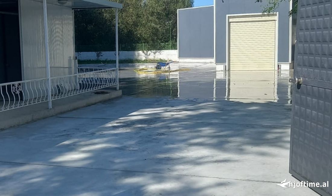 Foto 5