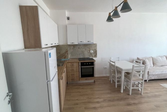 Shtepi me qera Apartament ne Tirane, 2+1, Mobilimi E mobiluar, Pagesa 500  Euro.