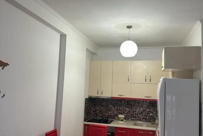 Shtepi me qera Apartament ne Tirane, 1+1, Mobilimi E mobiluar, Pagesa 450  Euro.