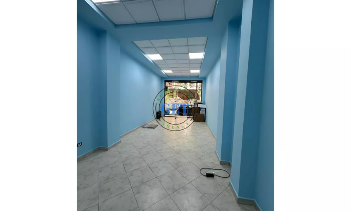 Foto 7