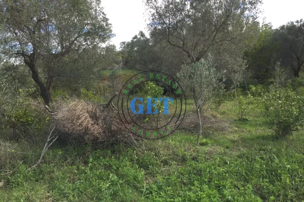 Truall ose Toke  ne Durres - 120,000 Euro