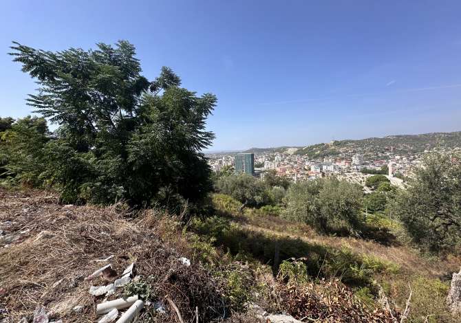 SHITET TOKE NE VLORE