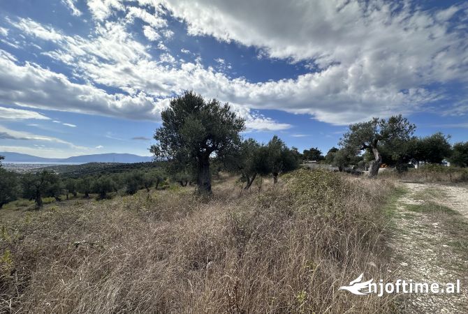 Truall ose Toke ne Vlore - 100,000 Euro
