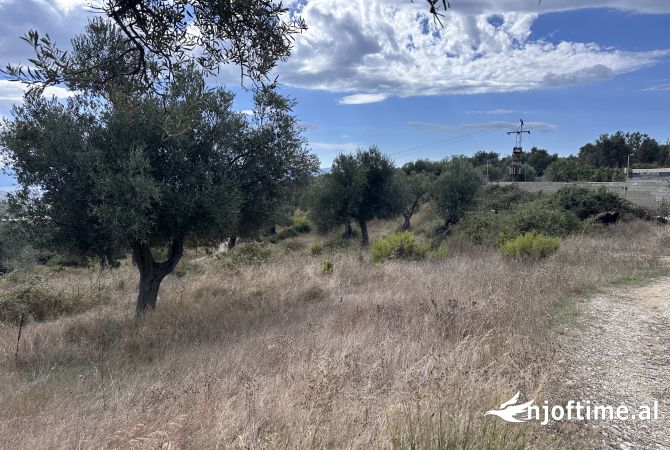 Toke ne shitje ne Bestrove,Vlore