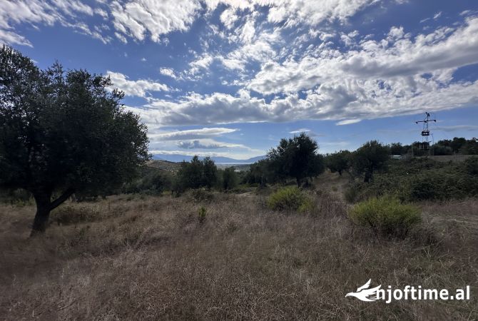 Toke ne shitje ne Bestrove,Vlore