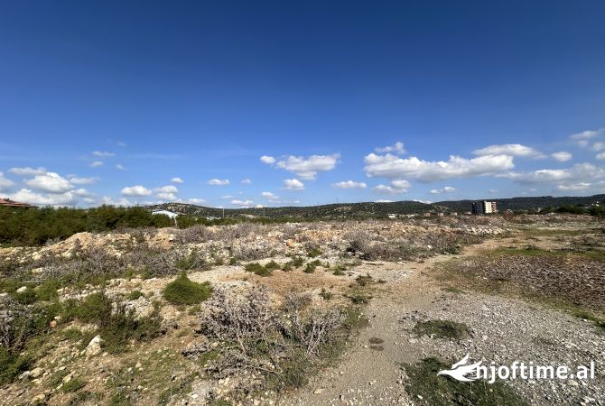 Shitet Toka ne Narte,Vlore