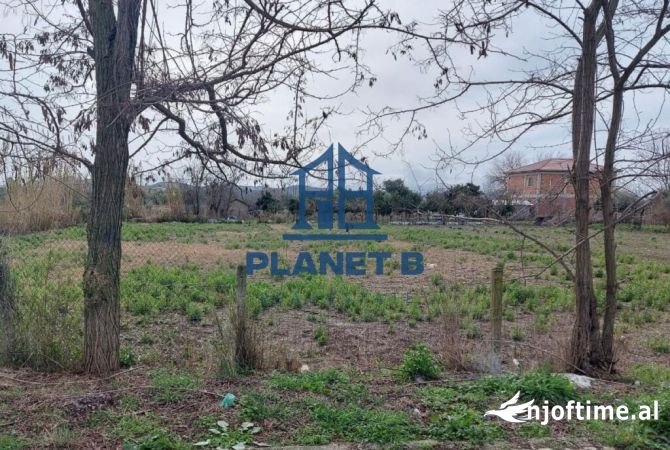 Truall ose Toke  ne Vlore - 58,000 Euro