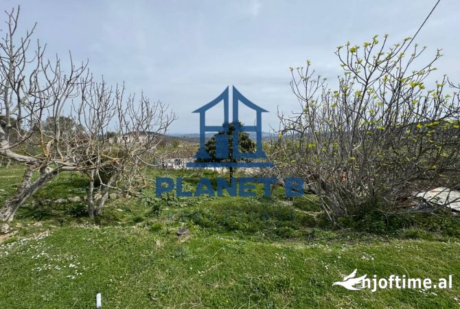 SHITET OKAZION NE KANINE