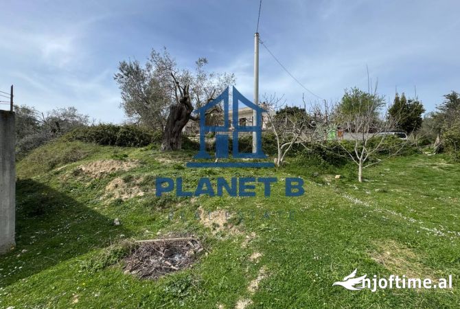 SHITET OKAZION NE KANINE