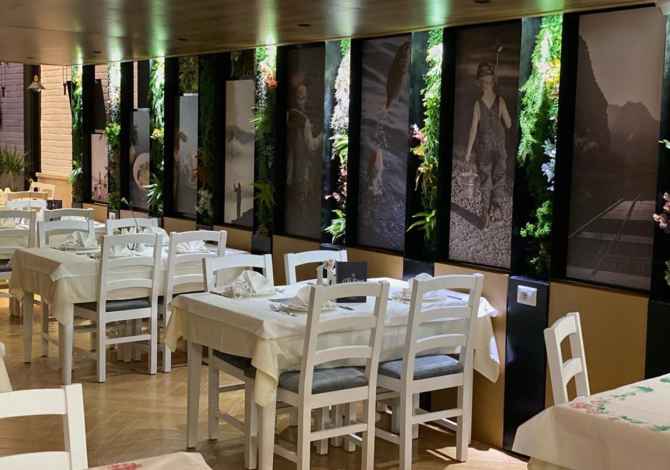 Njoftime Pune ne Tirane, Profesioni Kamarier,banakiere , , Pagesa Me Marreveshje.