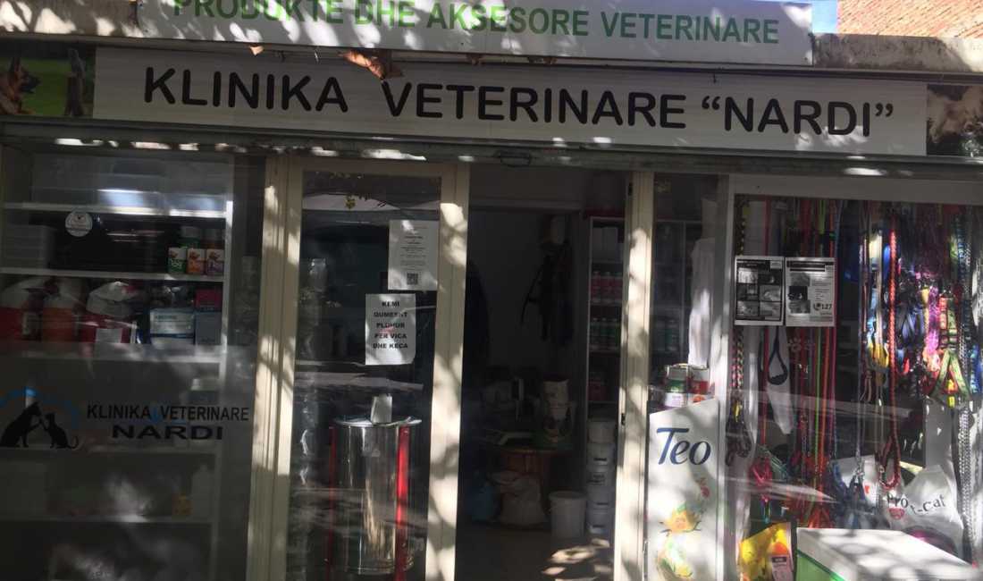 Foto 2